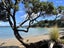 29 Kennedy Point Road, Surfdale, Waiheke Island - Carousel 34