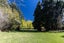 1465 State Highway 49, Ohakune, Ruapehu, Manawatu / Whanganui - Carousel 30