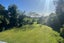 1431A No 2 Road, Te Ranga, Te Puke - Carousel 10