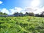 1946 Mountain Road, Norfolk, Inglewood - Carousel 6
