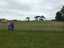 41 Totara Park Road, Foxton, Foxton - Carousel 1