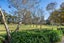 328 Purchas Road, Glasnevin, Amberley - Carousel 6