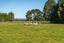 1832A State Highway 2, Tauwharenīkau, Tauherenikau - Carousel 11