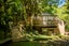 1 Woollams Road, Onetangi, Waiheke Island - Carousel 5