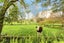 806 Waerenga Road, Waerenga - Carousel 7