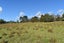 6 Coulter Road, Swanson, Auckland - Carousel 3