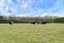 617 Johns Road, Harewood, Christchurch - Carousel 22