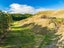 201 Whangamata Road, Taupo - Carousel 17