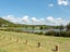 3 Fender Close, Pyes Pa, Tauranga - Carousel 20