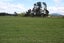 217 Toppings Road, Sefton, Rangiora - Carousel 8