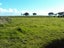 20 Elley Drive, Carters Beach, Westport - Carousel 3