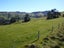 187 Okains Bay Road, Duvauchelle, Akaroa - Carousel 4