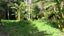 0 Whatuwhiwhi Road, Karikari Peninsula - Carousel 7