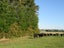 0 Ellison Rd, Norsewood - Carousel 18