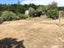 16 Hydrabad Drive, WAITARERE BEACH, LEVIN - Carousel 16