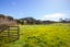 303 Gibbons Road, Kaiwaka, Kaiwaka - Carousel 5