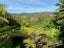 11 Tui Grove, Paihia, Paihia - Carousel 6