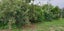 26 Smith Street, Waverley, Waverley - Carousel 24