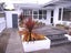 70 Guy Avenue, Takaro, Palmerston North - Carousel 11