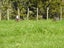 543 Three Mile Bush Road, Te Kamo, Whangarei - Carousel 15