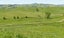 361 Martin Road, Waerenga - Carousel 4
