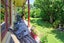 3228 State Highway 2, Clareville, Carterton - Carousel 3