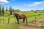 953A Maniatutu Road, Pongakawa, Te Puke - Carousel 25