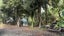 28 Greenfield Street, Hector, Hector - Carousel 24