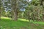 81 Crane Road, Kamo - Carousel 3