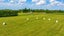 900 Loburn Whiterock Road, Loburn, Rangiora - Carousel 38