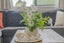 5 Emmerdale Drive, Hahei - Carousel 9