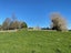 89 Robertson Road, Whatawhata - Carousel 19