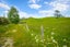 0 Kahikatea Flat Road, Waitoki, Waitoki - Carousel 12