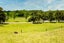 1099 Omana Road, Waiotira - Carousel 16