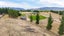 390C Letts Gully Road, Letts Gully, Alexandra - Carousel 23
