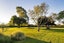 48 Peake Road, Cambridge, Hamilton - Carousel 35