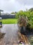 1/450 Great South Road, Ōpaheke, Papakura - Carousel 27