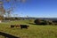 1960 East Coast Road, Stillwater, Silverdale - Carousel 13