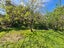 2225 Tiki Sh25 Road, PREECE POINT, COROMANDEL - Carousel 7