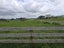 1559C Old Te Aroha Road, Matamata - Carousel 5
