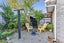 15B Taylor Terrace, St Andrews, Hamilton - Carousel 5