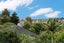 12 Tautari Street, Orakei, Auckland - Carousel 5