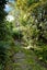 44A Maraetai School Road, Maraetai, Auckland - Carousel 11