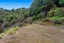 447 Takaputahi Road, Toatoa, Opotiki - Carousel 24
