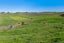 1130 Kopuku Road, Pokeno - Carousel 5
