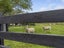 271 Richmond Road, Lepperton, New Plymouth - Carousel 23