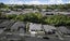 78 Fairfax Crescent, Pyes Pa, Tauranga - Carousel 16