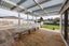 144 Stanford Street North, Ashhurst - Carousel 15