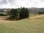 888 Ohariu Valley Road, Ohariu, Wellington - Carousel 15