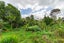 291 East Coast Road, Mairangi Bay, Auckland - Carousel 9